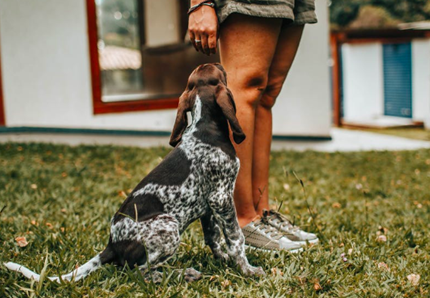 Permessi retribuiti per la cura degli animali domestici